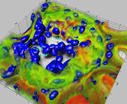 GT Vision 3D Visualization  Systems for Cell Imaging