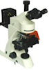 GT Vision GXM Fluorescence Microscopes