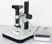 GT Vision GXM M3DN 3D Motorized Microscope
