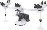 GT Vision GXM MultiViewing Microscopes
