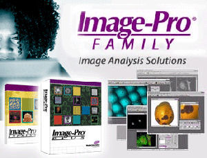 GT Vision Media Cybernetics ImageProPlus General Purpose Image Analaysis Datasheet